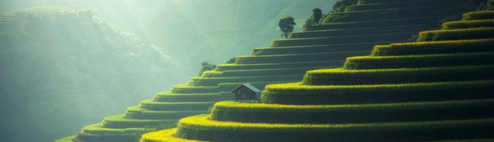 Philippe Bossi – La Rochelle 